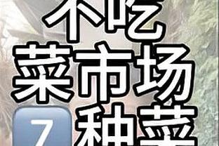 今年法网总奖金近5350万欧元，男女单打冠军各获得240万欧元